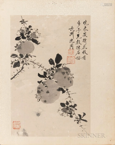 Album Leaf Depicting Persimmons, China, in the manner of She...