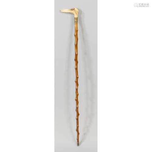 Walking stick with dog handle,