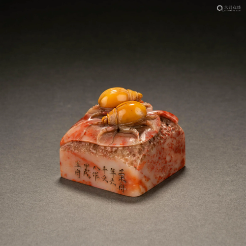 Carved Shoushan Stone Insect Seal