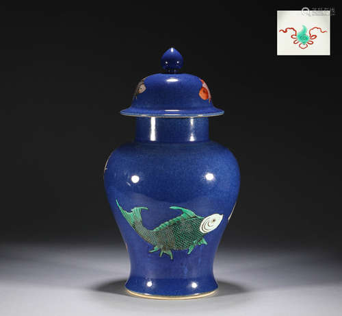 General pot with blue pomelo and fish pattern in the Qing Dy...