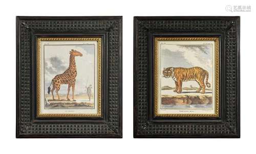 A collection of 12 coloured reproductions of animals,