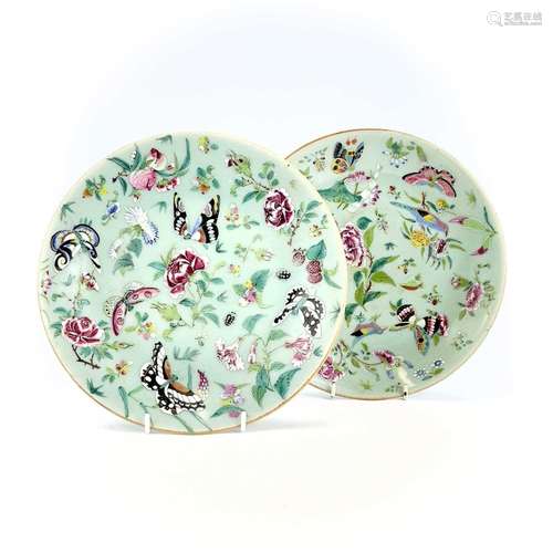 Two Chinese Canton celadon porcelain plates, 19th century, d...