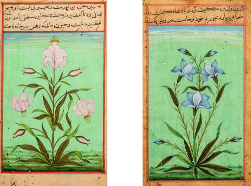 Four Indian Illustrated Manuscript Leaves