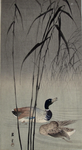 Shoun Yamamoto: Mallard Ducks