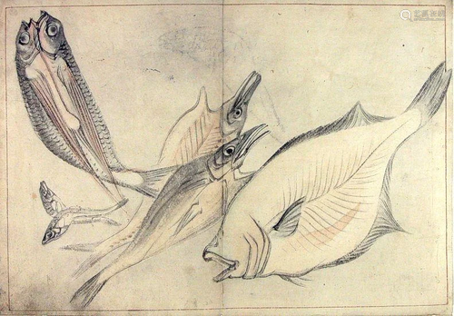 Anonymous: "A Shoal of Fishes" - Five Japanese ink...