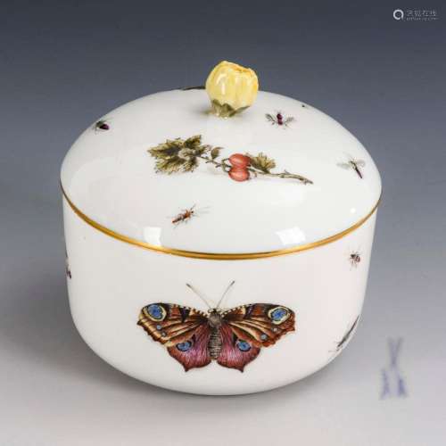 SUGAR BOWL WITH OMBRE FRUIT AND INSECT PAINTING. MEISSEN.