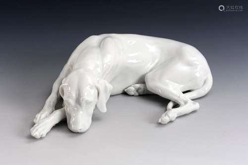 LYING HUNTING DOG. ROSENTHAL.