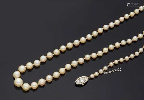 COLLIER de perles de culture en chute. Fermoir en or gris 75...