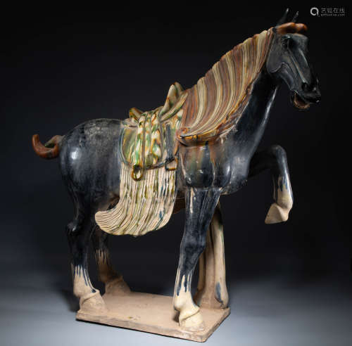 Chinese Tricoloured horse of tang Dynasty