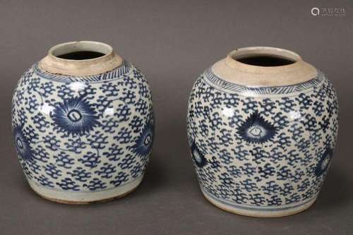 Pair of Chinese Qing Dynasty Blue and White