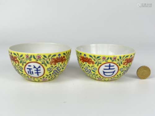 A pair of fine famille rose cups, marked, Qing Dynasty Pr.