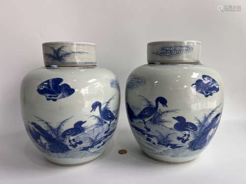 A pair of blue&white teajars, marked, Qing Dynasty Pr.