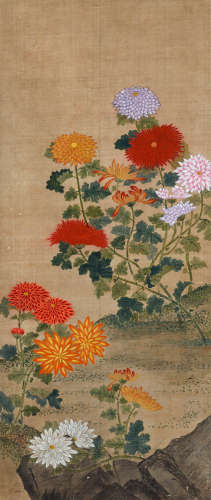 清 佚名 菊  约2.70平尺 设色绢本 镜片