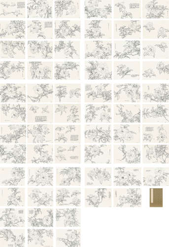 现代 佚名 白描山茶65开  约0.3平尺（每幅） 水墨纸本 册页