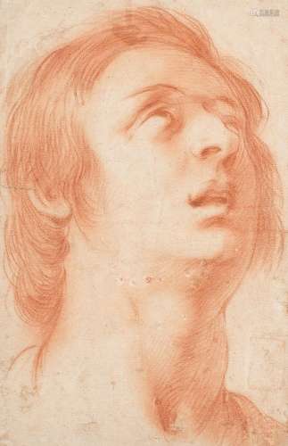 Florentine School, 17th Century  Head study of a man