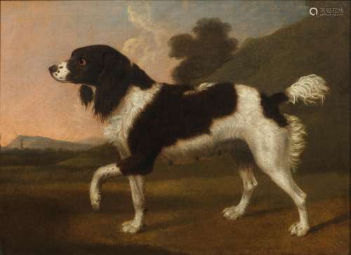 George Stubbs ARA (Liverpool 1724-1806 London) A black and w...