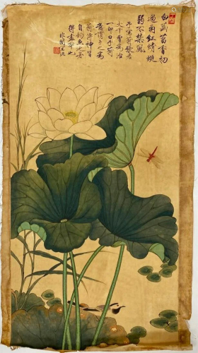 Dragonfly And Lotus Chinese Old Scroll By Yu Feidark