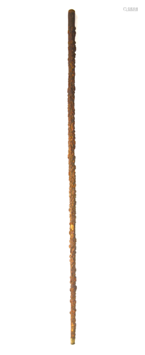 Antique Wood Branch Walking Cane