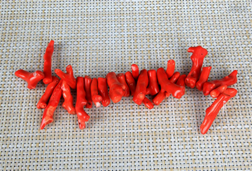 GROUP OF 25 CORAL STICKS