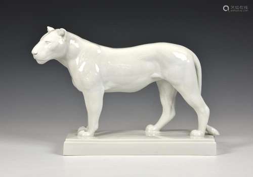 A large Meissen white-glazed porcelain figure of a Lioness 2...