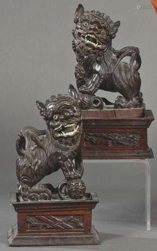 Pair of Foo lions in carved and patinated wood, China ff. S....