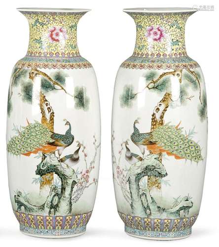 Pair of Chinese porcelain vases Green Family S. XX