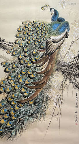 Chinese Peacock Painting Paper Scroll, Zheng Naiguang Mark