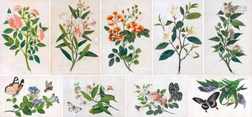 A group of nine Chinese 'rice paper' paintings, 19th...