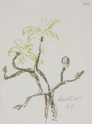 Erich Heckel, German, 1883-1970- Flowering branch, 1968;lith...