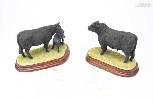 Border Fine Arts Welsh Black bull, cow and calf