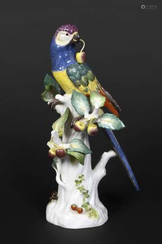 MEISSEN PARROT 20thc, the Parrot brightly painted and holdin...