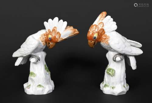PAIR OF MEISSEN COCKATOOS 20thc, each bird perched on a tall...