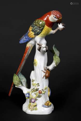 MEISSEN PARROT 20thc, brightly painted with the bird holding...