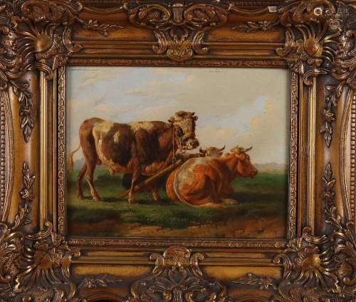 Albertus Verhoesen, Cows in a meadow