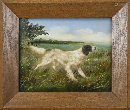 H. Sperling, English Setter