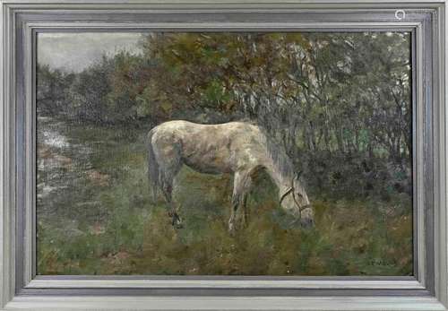 AR Mauve, Grazing Horse