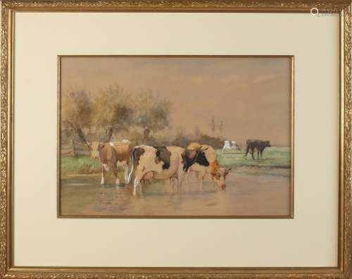 DP van Lokhorst, Cows at watering place