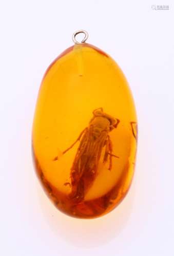 Amber pendant with wasp