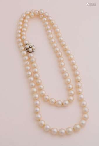 Necklace of cultured pearls with white gold.