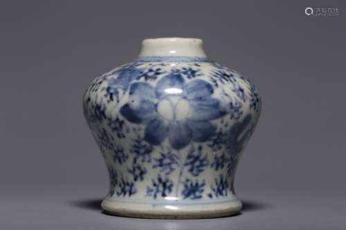Qing Chinese Blue and White Porcelain Jar Vase