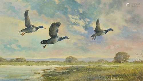 Derek C Baulcomb 2001 - Three geese flying above water, mixe...