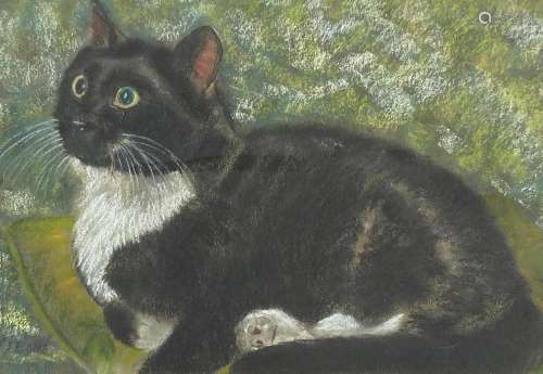 Richard A Howard - The Artists Cat, pastel, mounted, framed ...