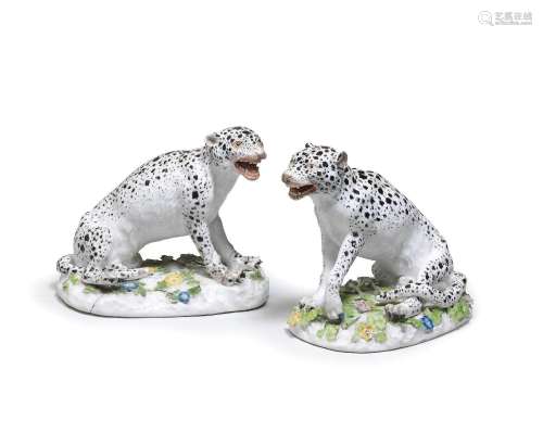 A pair of Meissen models of leopards, mid 18th century