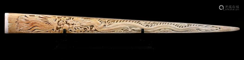 Swordfish tusk