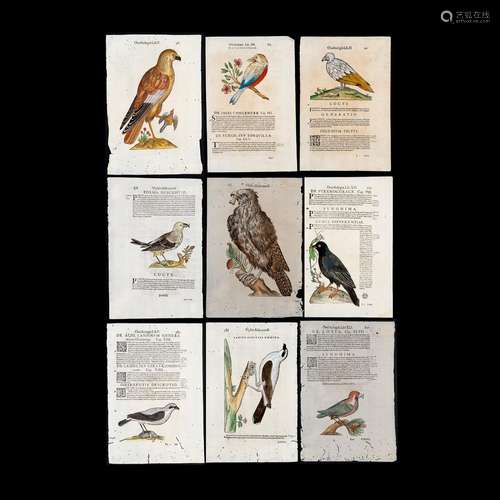 Ulisse Aldrovandi, 'Ornithologiae hoc est De auibus historia...