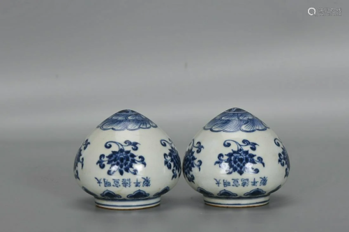 TWO CHINESE BLUE-AND-WHITE JARS DEPICTING 'BIRD', ...