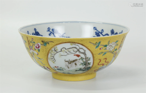 Fine Chinese Guangxu Enamel & Blue Porcelain Bowl