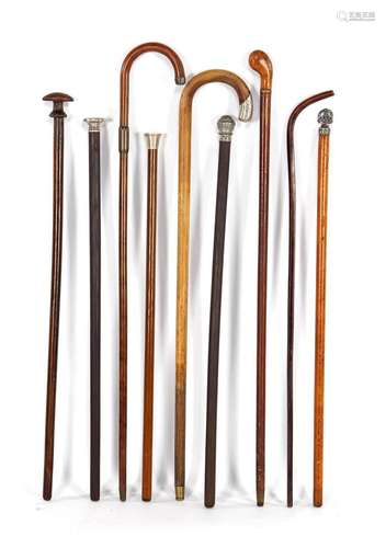 9 various wooden walking sticks