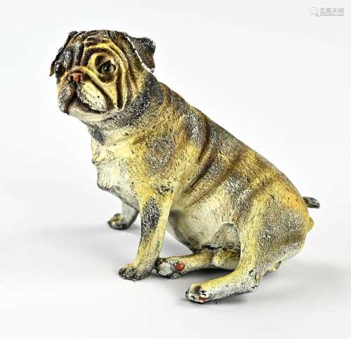 Viennese style bronze bulldog
