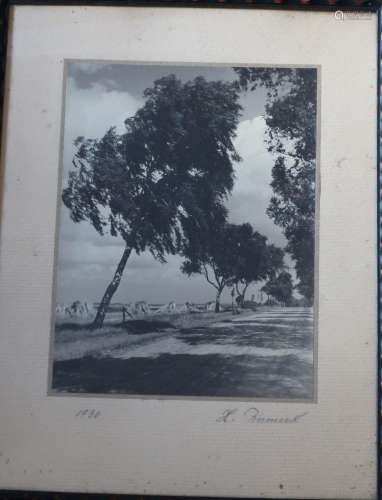 "Erntelandschaft",Original-Foto um 1930,signiert,H...